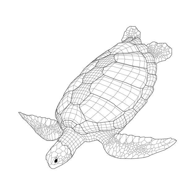 The Green Sea Turtle by Coster-Graphics