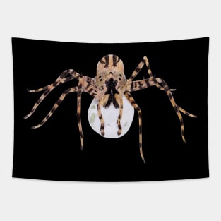 Spider Guarding Egg Sack Tapestry