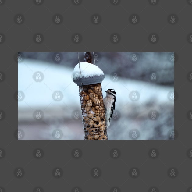 Winter Downy Woodpecker Peanut Bird Feeder by BackyardBirder