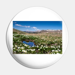 Summer in Colorado Pin