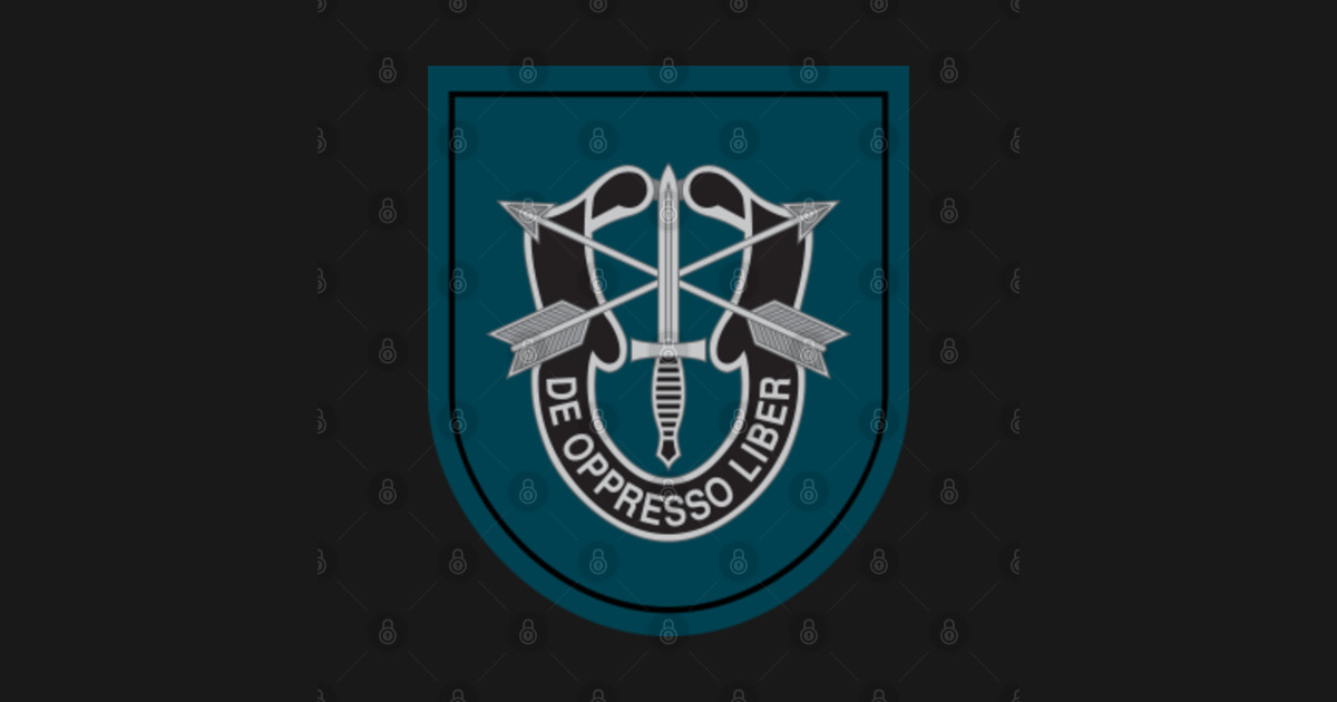 US Army 19th Special Forces Group (19th SFG) - 19th Special Forces ...