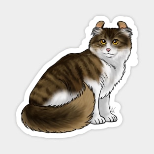 Cat - American Curl - Tabby and White Magnet