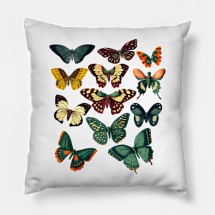 Vintage Butterflies Pillow