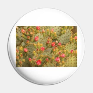 Sonoran Desert Prickly Pear Cactus Blossoms Pin