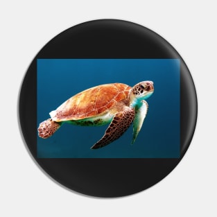 Sea turtle Pin