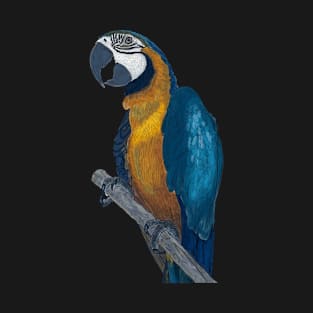 Blue + Yellow Macaw on a Twig Scientific Drawing T-Shirt