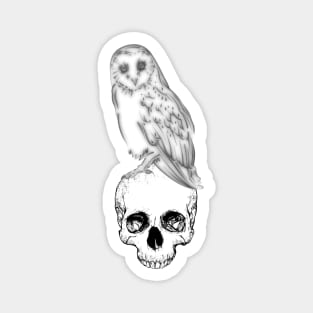 Owl Skull Magnet