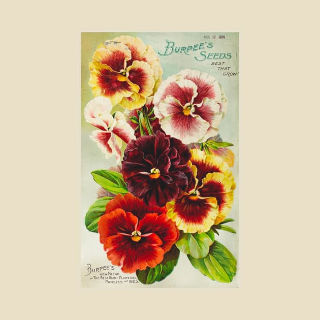 Burpee's Seed Catalogue, 1904 by WAITE-SMITH VINTAGE ART