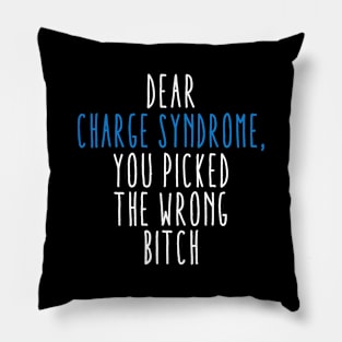 Dear Charge Syndrome You Picked The Wrong Bitch Pillow