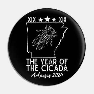 Great Cicada The Year Of Cicada 2024 Arkansas XIX XIII USA Pin