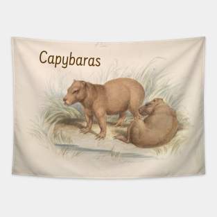 Capybaras by Charles Hamilton Smith Tapestry