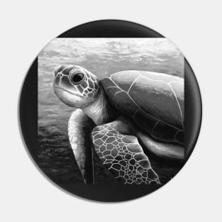 Sepia swimming sea turtle art Pin