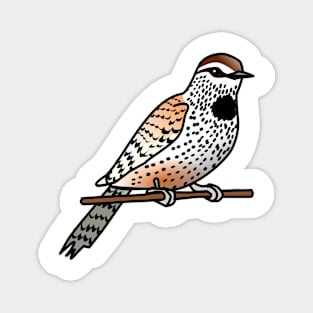 Cactus Wren Magnet