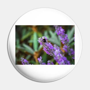 Bumblebee on lavender Pin