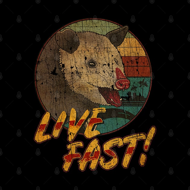 VINTAGE OPOSSUM  LIVE FAST AAAAAA by sepatubau77