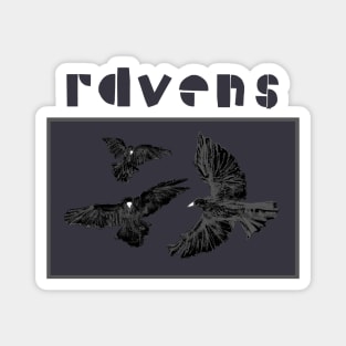 Ravens Magnet