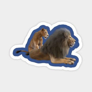 Lion and lioness Magnet