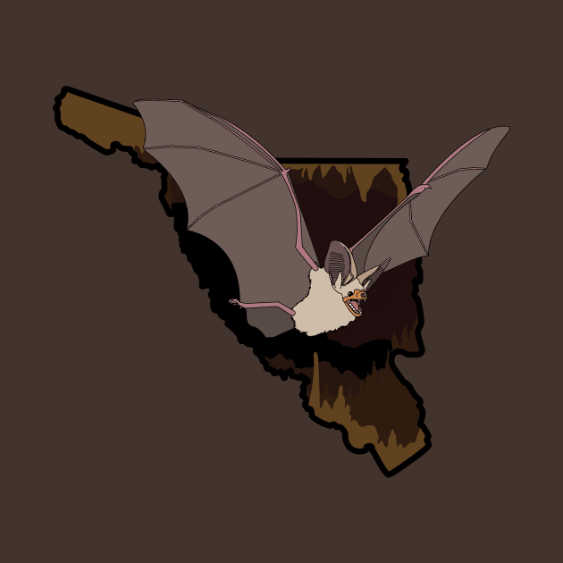 Pallid Bat by ProcyonidaeCreative