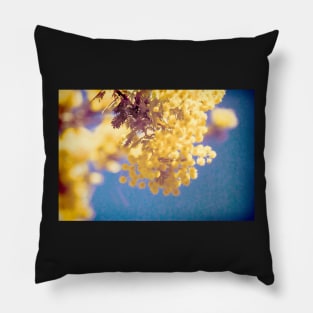 Wattle 3 Pillow