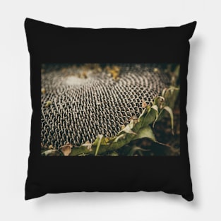 Mature sunflower background Pillow