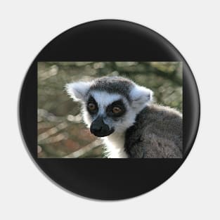 Ring Tailed Lemur Pin