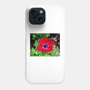 Red Anemone Phone Case