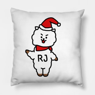 RJ Pillow