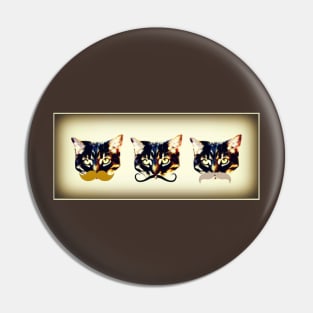 Cats in 'staches Pin