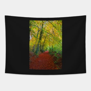 Autumnal Westridge Woods, Cotswolds Tapestry