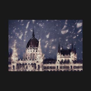 Budapest in the Rain T-Shirt