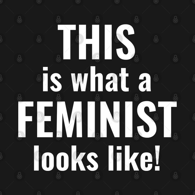 This Is What A Feminist Looks Like by AmazingVision