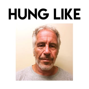 Hung like Epstein T-Shirt