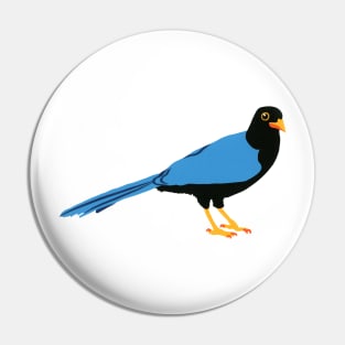 YUCATAN JAY Hand Cut Paper Bird Blue Black Yellow and Orange Crow Pin