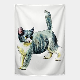 grey kitten Tapestry