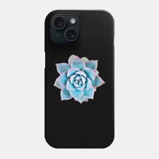 Echeveria blue bird Phone Case