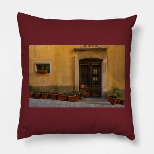 Door and Window in Buzet, Croatia Pillow