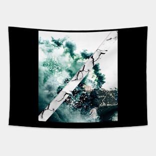 Slinger aesthetic photo Tapestry