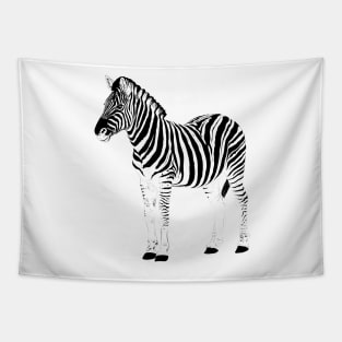 Cute Black & White Zebra Animal Pink Design Tapestry