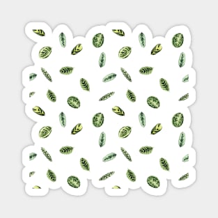 Plant leaves pattern Magnet