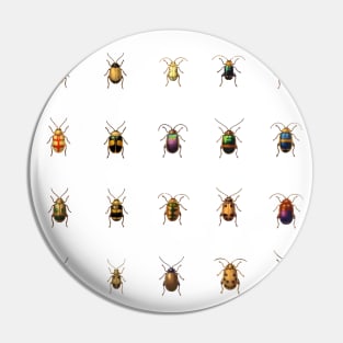 Vintage Bugs and Beetles Pin