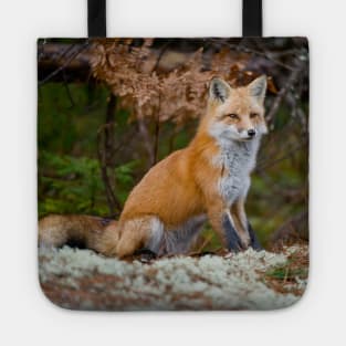 Red Fox Tote