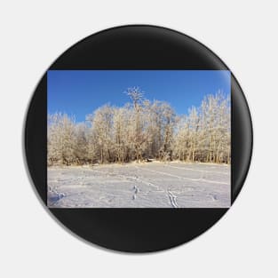 Saskatchewan winter trees Pin