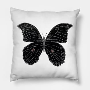 Butterfly color Pillow