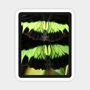 Abstract Butterfly Magnet