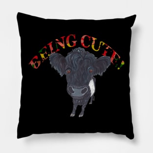 BELTED GALLOWAY BEING CUTE Pillow