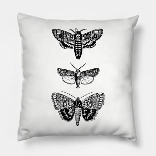 Moths Pillow