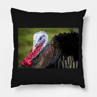 Bronze Turkey Pillow