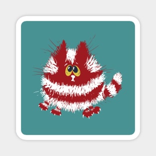 Funny Red and White Fluffy Cat on Turquoise Background Magnet