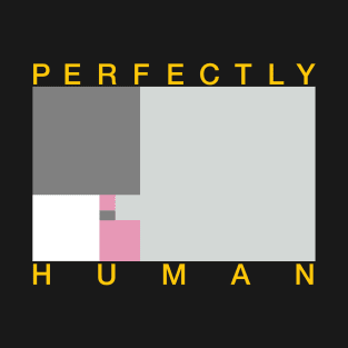 Perfectly Human - Demigirl Pride Flag T-Shirt