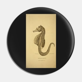 Hippocampus: seahorse Pin